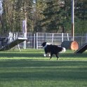 IMG 0095