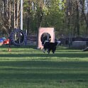IMG 0097