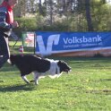 IMG 0103