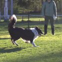 IMG 0104