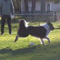IMG 0106