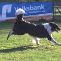 IMG 0112