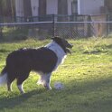 IMG 0116
