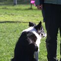 IMG 0136