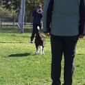 IMG 0138