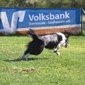 IMG 0151
