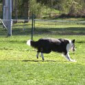 IMG 0153