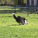IMG 0154