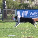 IMG 0158