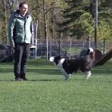 IMG 0163