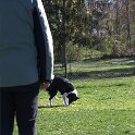 IMG 0168