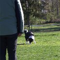 IMG 0169