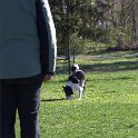 IMG 0170