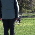 IMG 0172