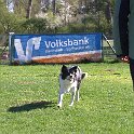 IMG 0173