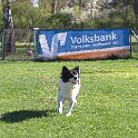 IMG 0174