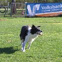 IMG 0175