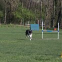 IMG 0182