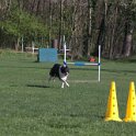 IMG 0183