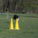 IMG 0185