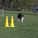 IMG 0186