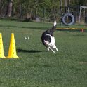 IMG 0187