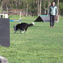 IMG 0193