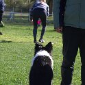 IMG 0198