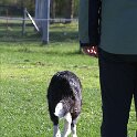IMG 0200