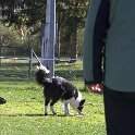 IMG 0202
