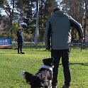 IMG 0209