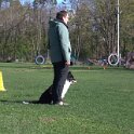 IMG 0213