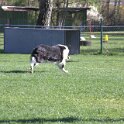 IMG 0217