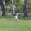 IMG 0219