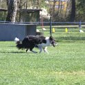 IMG 0227