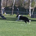 IMG 0232