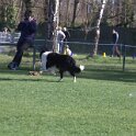 IMG 0233