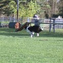 IMG 0234