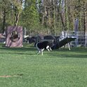 IMG 0236