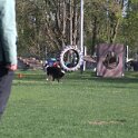 IMG 0238