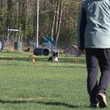 IMG 0239