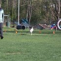 IMG 0242