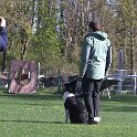 IMG 0261