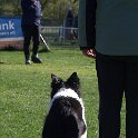 IMG 0263