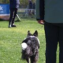 IMG 0264