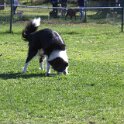 IMG 0272