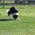 IMG 0276