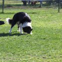 IMG 0277