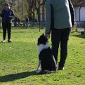 IMG 0279