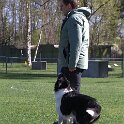 IMG 0282